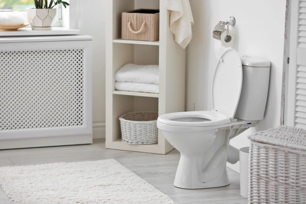 Bathroom plumbing fixtures and connections